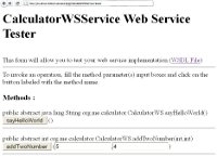 Java EE Webservice Glassfish